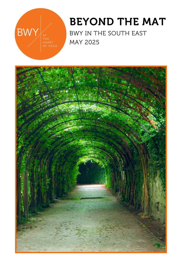se-summer-newsletter