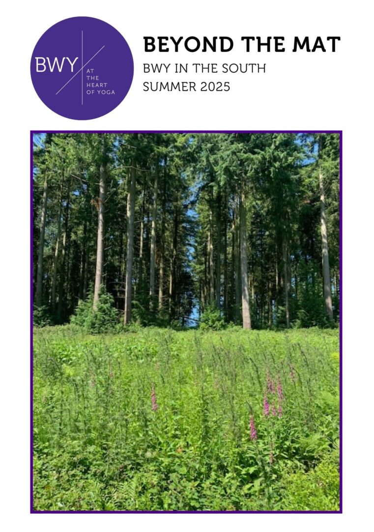 south-summer-2025-newsletter