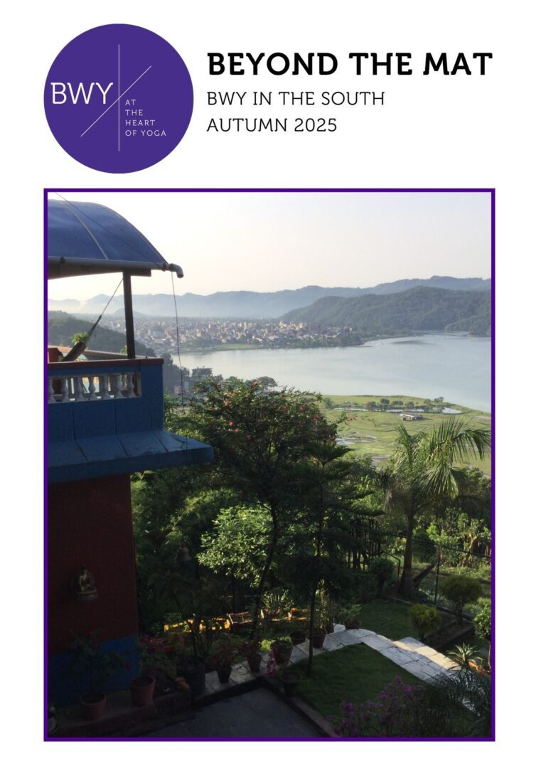 south-autumn-2025-newsletter